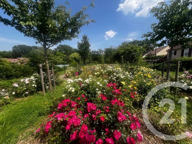 maison à vendre - 7 pièces - 125.56 m2 - MONTIGNY LES CORMEILLES - 95 - ILE-DE-FRANCE - Century 21 La Voie Romaine